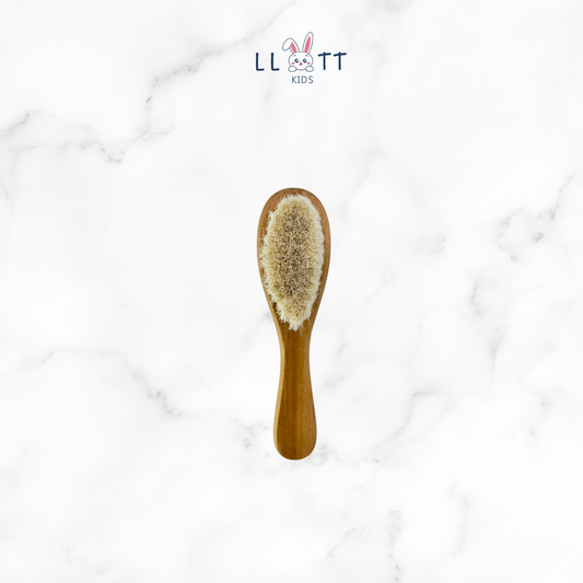 Hair Brush