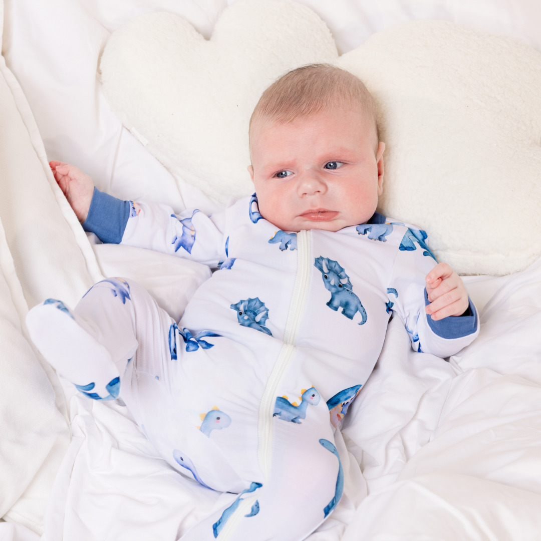 Dinosaur Zippy Onesie ( Closed Feet )