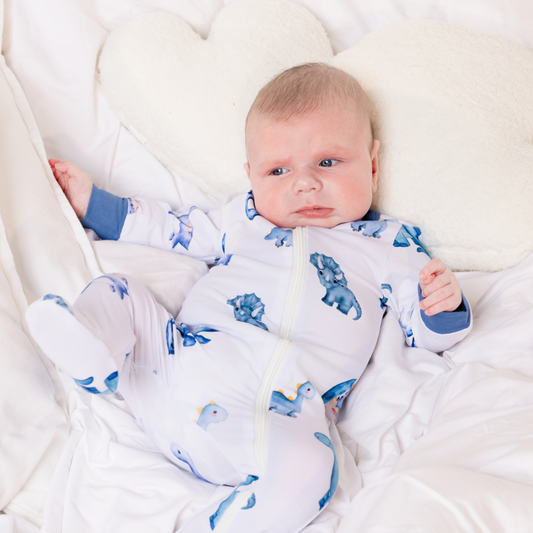 Dinosaur Zippy Onesie ( Closed Feet )